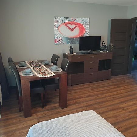 Przestronny Apartament Dla 9 Osob - 4 Sypialnie, Parking Ґлівіце Екстер'єр фото